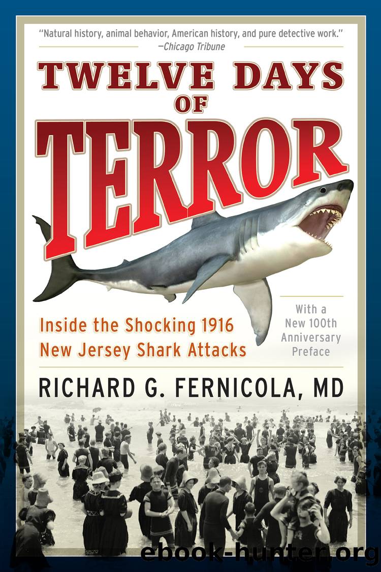 Twelve Days of Terror by M. G. D. Fernicola
