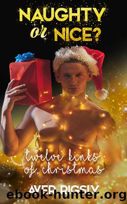 Twelve Kinks of Christmas by Aver Rigsly