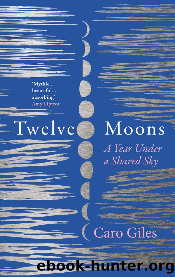 Twelve Moons by Caro Giles