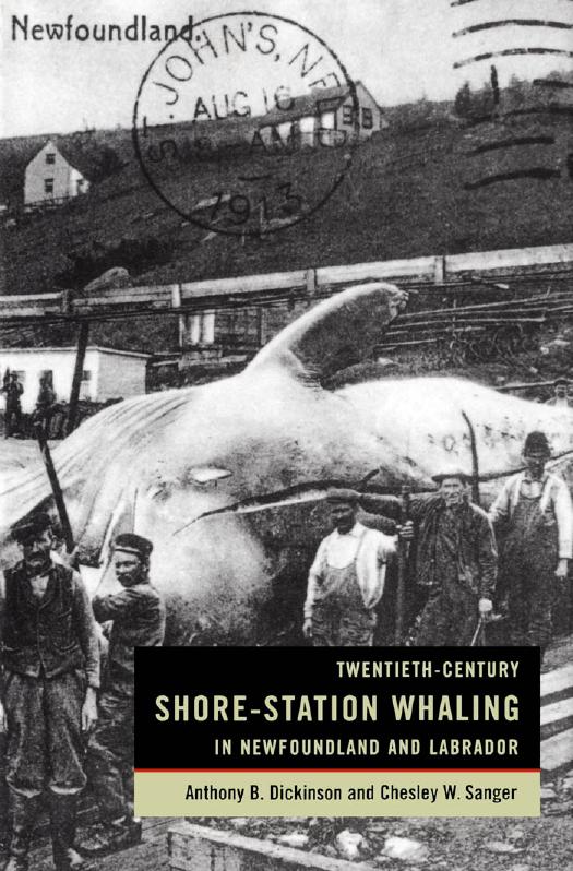 Twentieth-Century Shore-Station Whaling in Newfoundland and Labrador by Anthony Dickinson; Chesley Sanger