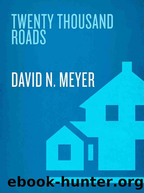 Twenty Thousand Roads by David Meyer
