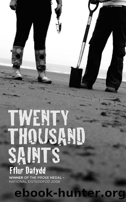 Twenty Thousand Saints by Fflur Dafydd