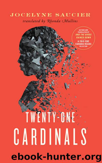 Twenty-One Cardinals by Jocelyne Saucier