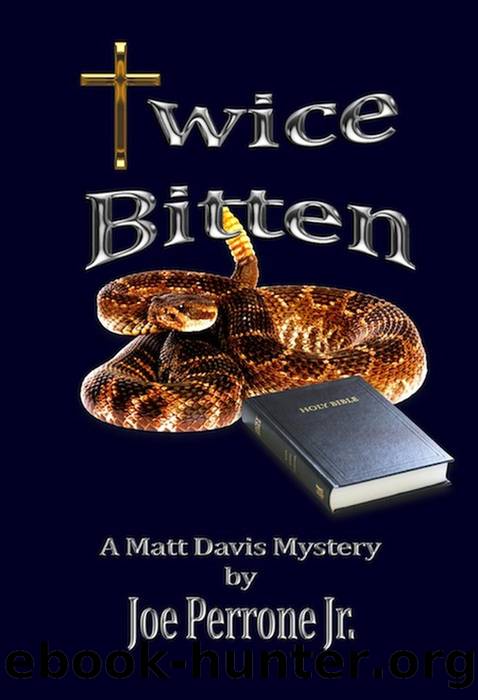 Twice Bitten by Joe Perrone Jr