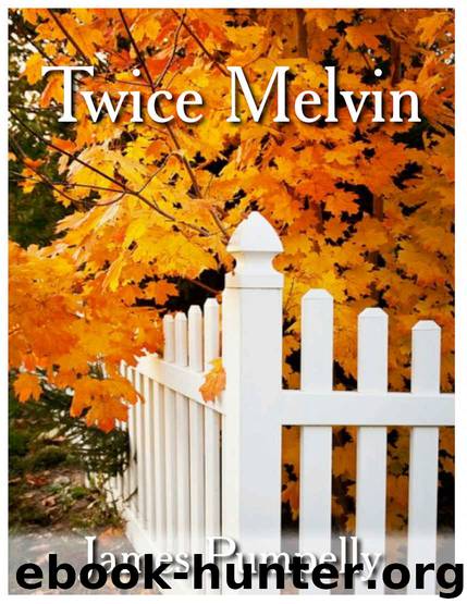 Twice Melvin by James Pumpelly