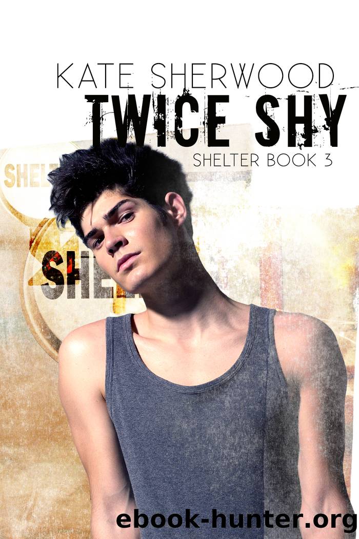 Twice Shy by Kate Sherwood