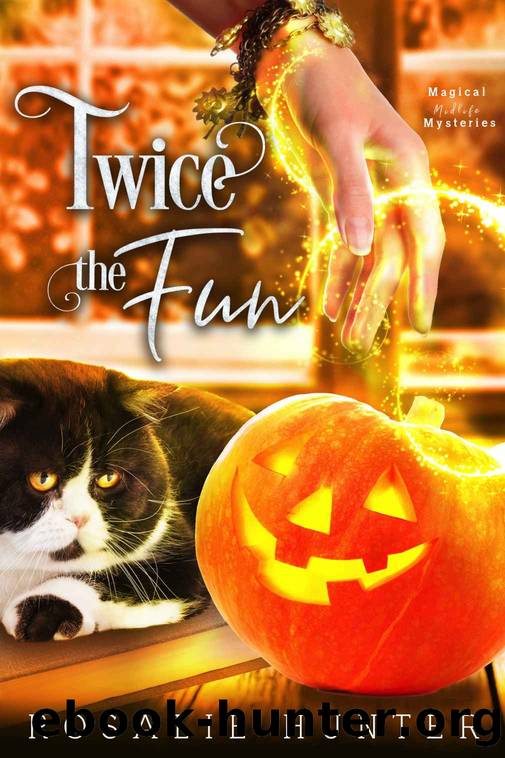 Twice The Fun: A Paranormal Women's Fiction Mystery (Magical Midlife Mysteries Book 2) by Rosalie Hunter