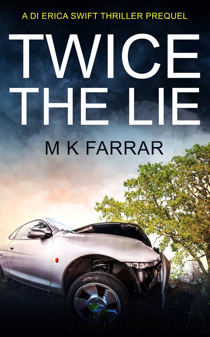 Twice the Lie by M K Farrar