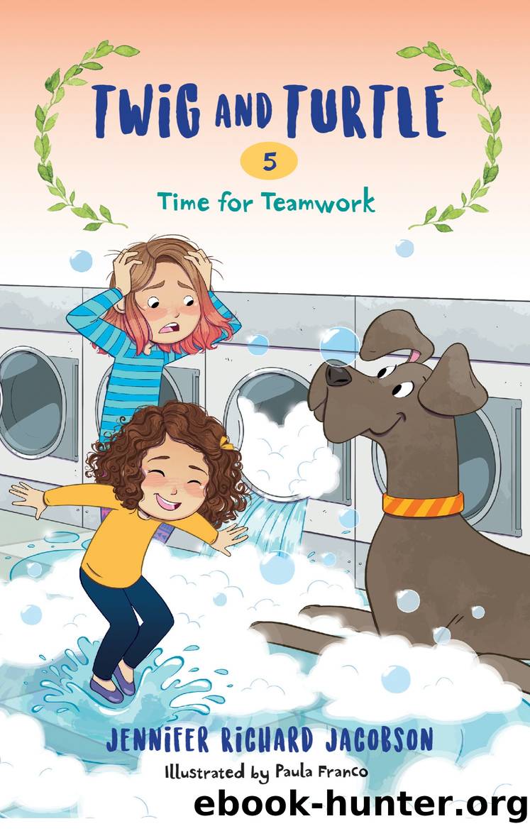 Twig and Turtle 5 by Jennifer Richard Jacobson