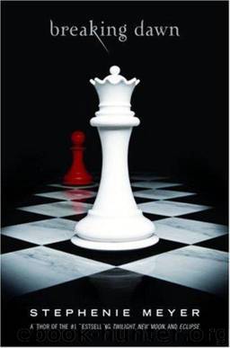 Twilight 4 - Breaking Dawn by Meyer & Stephenie