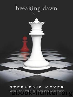 Twilight Series - 4 Breaking Dawn by Stephenie Meyer