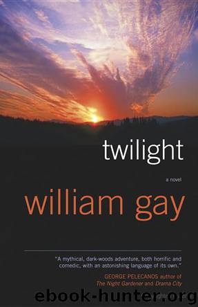Twilight by Gay William