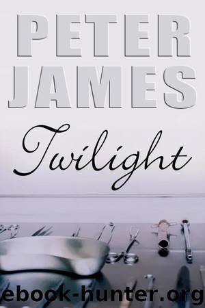 Twilight by James Peter