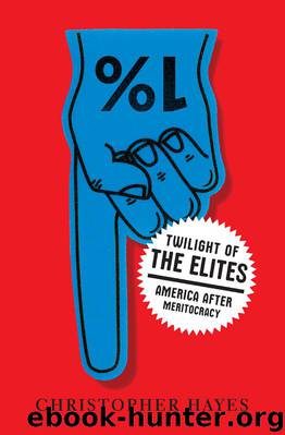 Twilight of the Elites: America after Meritocracy by Christopher Hayes