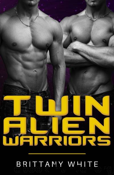 Twin Alien Warriors by Brittany White