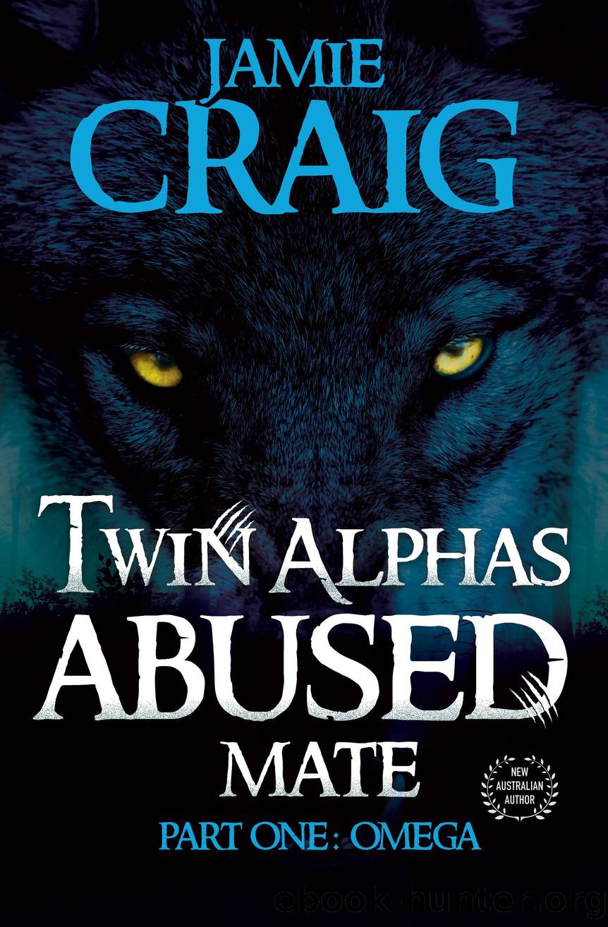 Twin Alphas ABUSED MATE by Jamie Craig