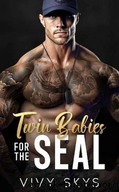 Twin Babies For The SEAL: An Age Gap Enemies To Lovers Romance by VIVY SKYS