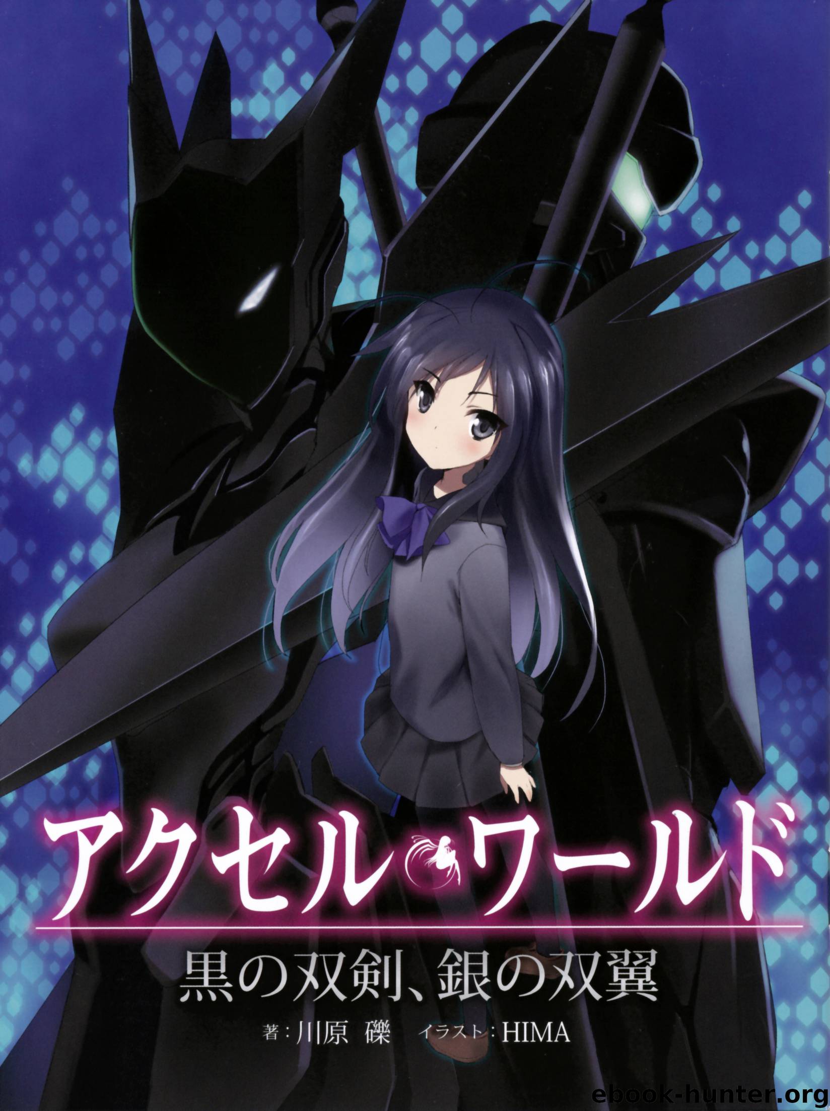 Twin Black Swords, Twin Silver Wings by Reki Kawahara