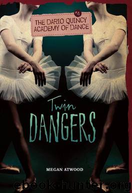 Twin Dangers by Megan Atwood