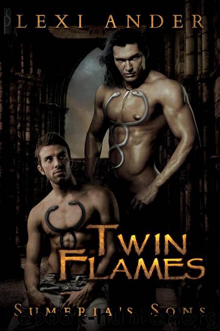 Twin Flames by Lexi Ander