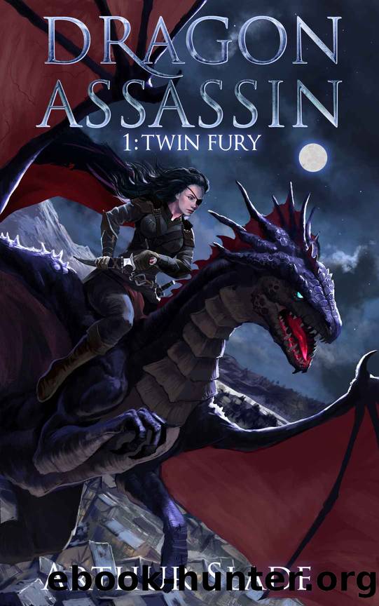 Twin Fury by Arthur Slade