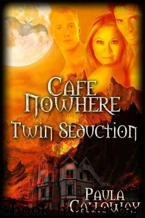 Twin Seduction by Paula Calloway