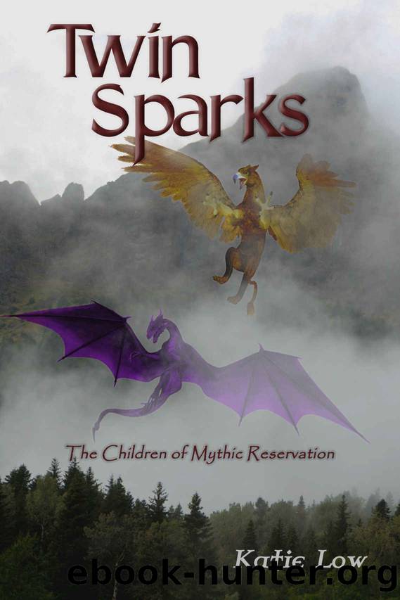 Twin Sparks by Katie Low