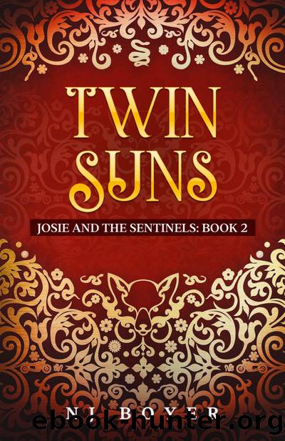 Twin Suns by NJ Boyer