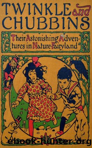 Twinkle and Chubbins - Their Astonishing Adventures in Nature Fairyland by L. Frank Baum