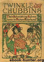 Twinkle and Chubbins by L. Frank Baum