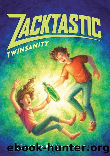 Twinsanity by Courtney Sheinmel