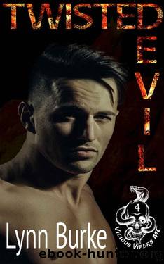 Twisted Devil (Vicious Vipers MC Book 4) by Lynn Burke