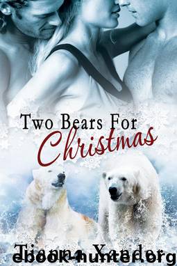 Two Bears For Christmas by Tianna Xander