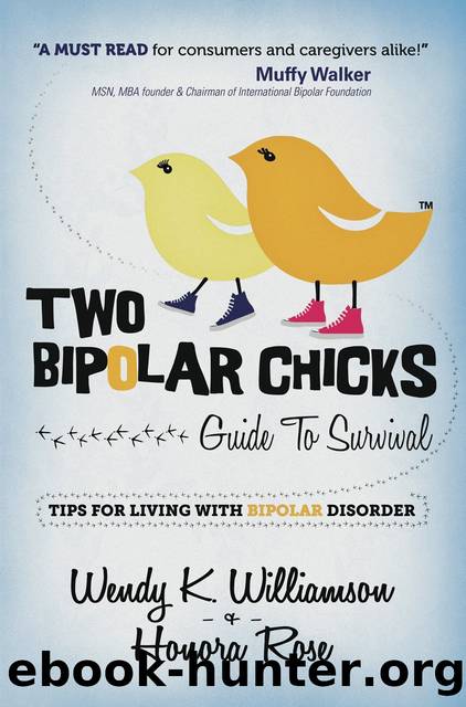 Two Bipolar Chicks Guide To Survival by Wendy K. Williamson & Honora Rose