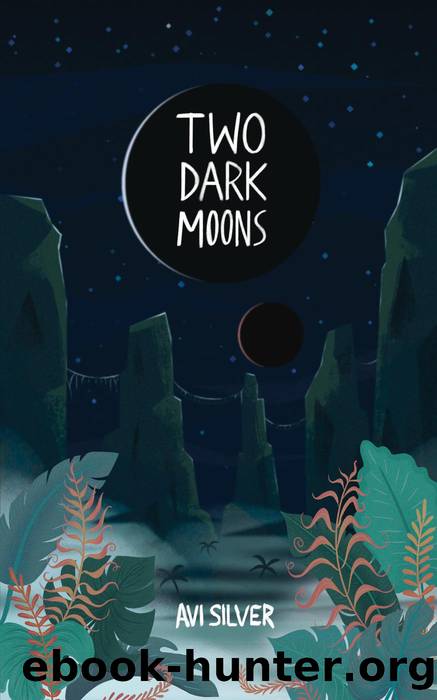 Two Dark Moons by Avi Silver
