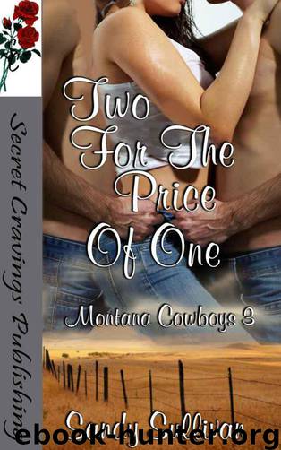 Two For The Price Of One (Montana Cowboys) by Sandy Sullivan