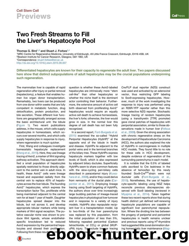 Two Fresh Streams to Fill the Liver's Hepatocyte Pool by Thomas G. Bird & Stuart J. Forbes