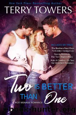Two Is Better Than One (Steamy Menage MFM Romance Collection) by Terry Towers