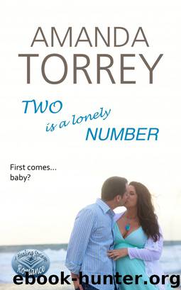 Two Is a Lonely Number by Amanda Torrey