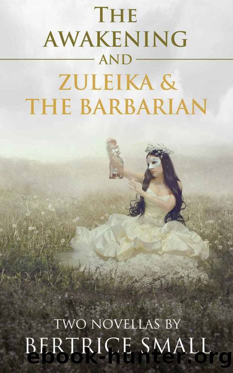 Two Novellas by Bertrice Small: (The Awakening, Zuleika and the Barbarian) by Bertrice Small