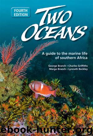 Two Oceans: A guide to the marine life of southern Africa by George Branch & Charles Griffiths & Margo Branch & Lynnath Beckley