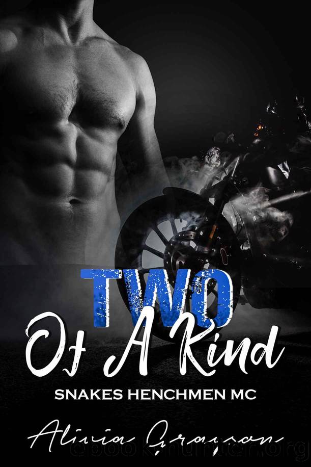 Two Of A Kind_Snakes Henchmen MC by Alivia Grayson