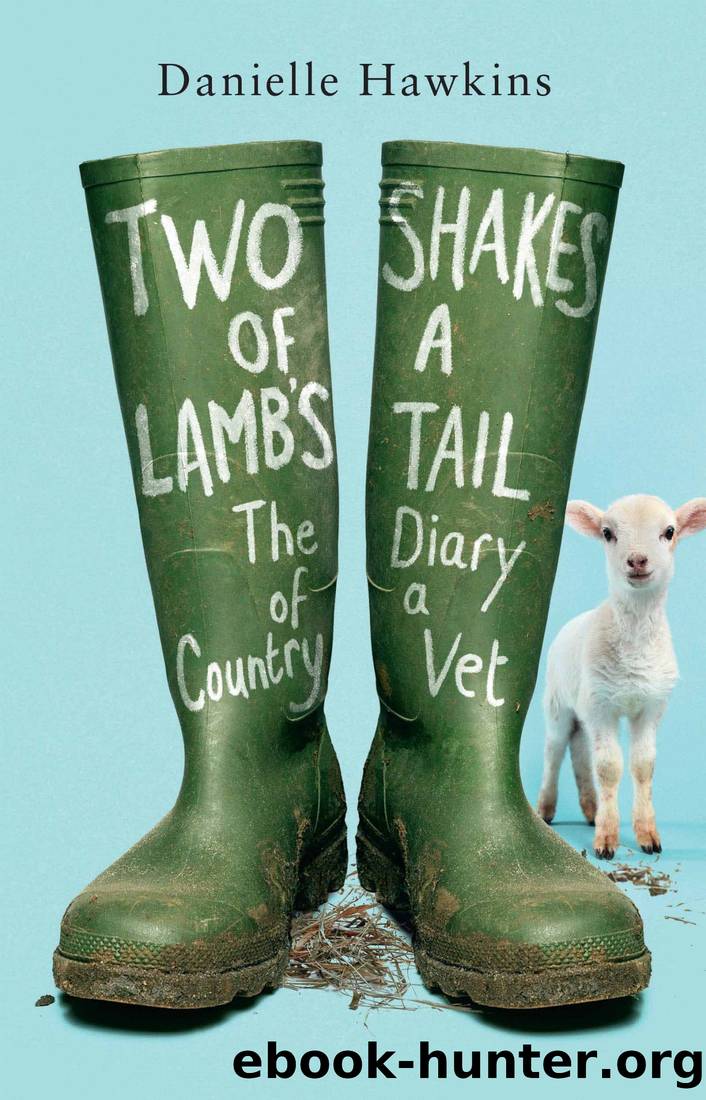 Two Shakes of a Lamb's Tail by Danielle Hawkins