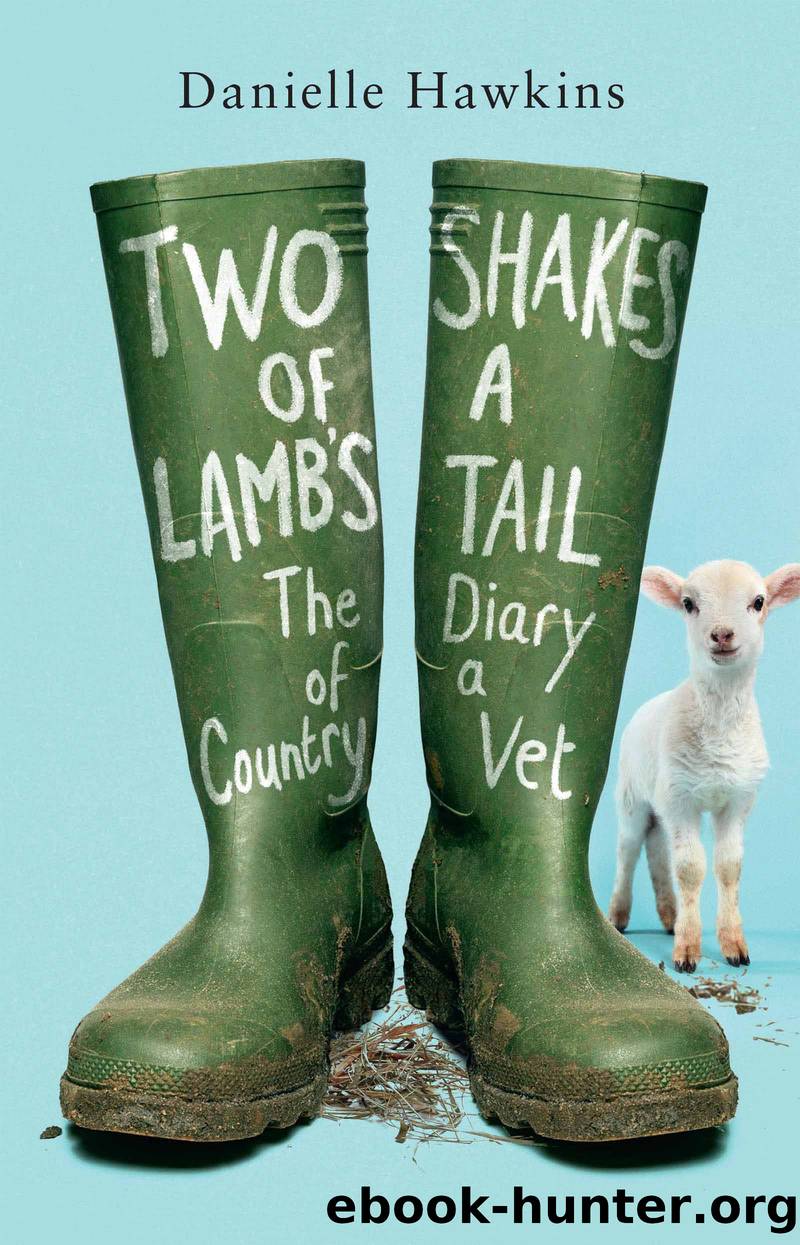 Two Shakes of a Lamb's Tail: The Diary of a Country Vet by Hawkins Danielle