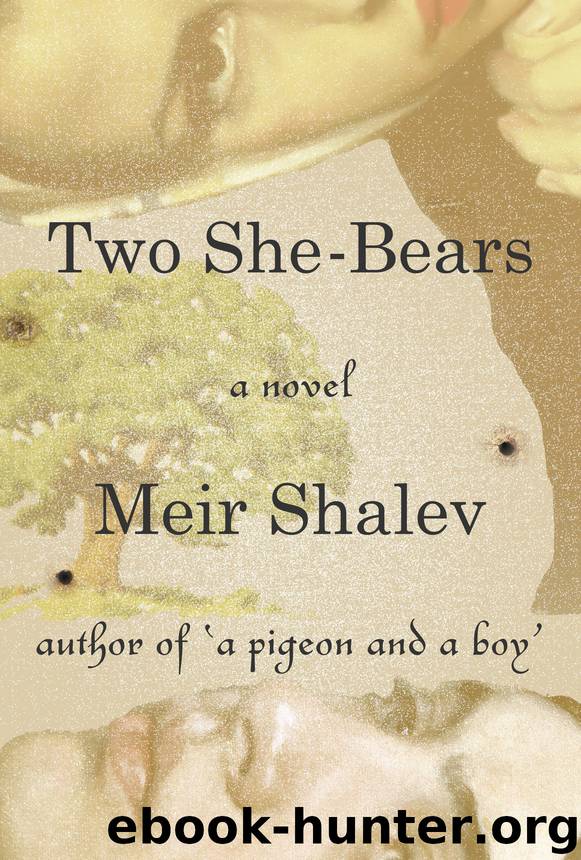Two She-Bears by Meir Shalev