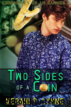 Two Sides of a Coin by Meraki P. Lyhne