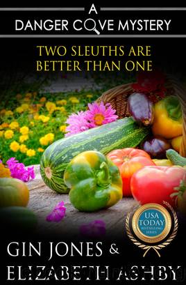 Two Sleuths are Better Than One (a Danger Cove Crossover Mystery) by Elizabeth Ashby