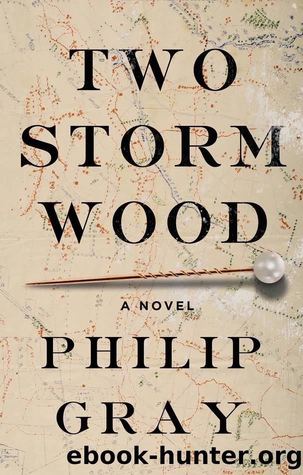 Two Storm Wood by Unknown