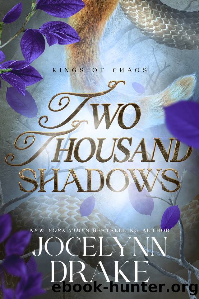 Two Thousand Shadows (Kings of Chaos Book 4) by Jocelynn Drake