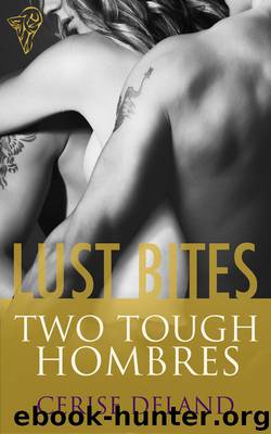 Two Tough Hombres by Cerise DeLand